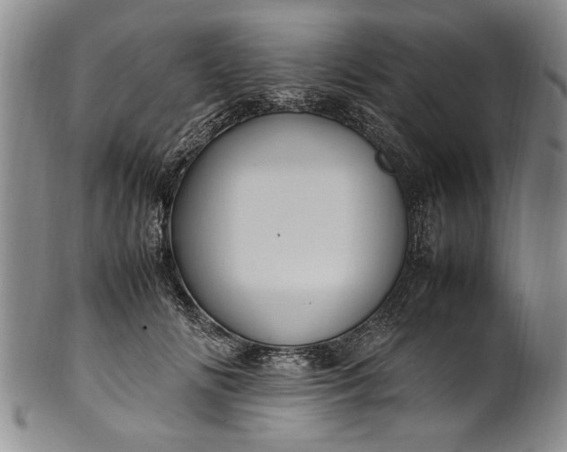 X0000102250702200808081411