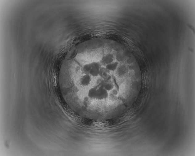 X0000102250703200808081411