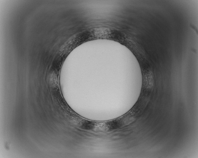 X0000102250705200808081411