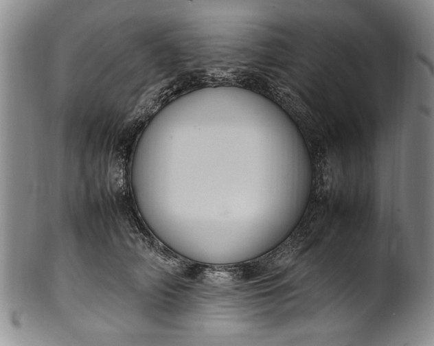 X0000102250706200808081411