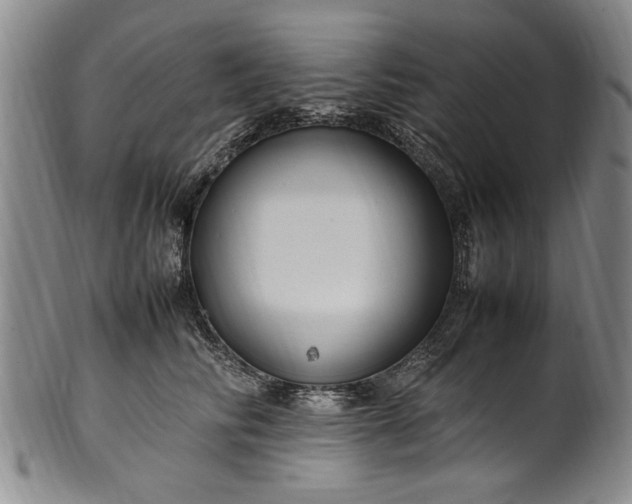 X0000102250710200808081411