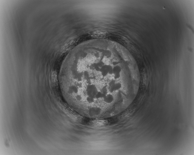 X0000102250711200808081411