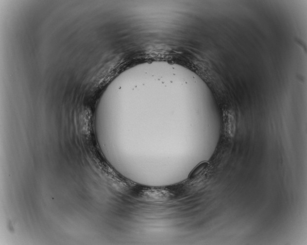 X0000102250712200808081411