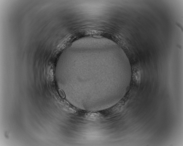 X0000102250716200808081411