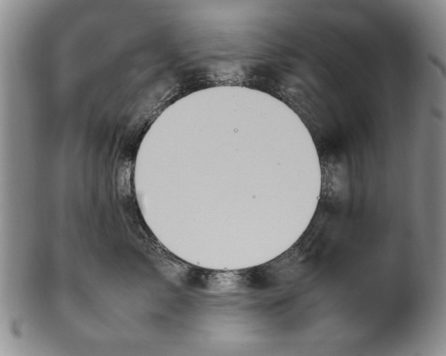 X0000102250717200808081411