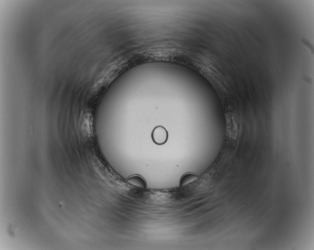 X0000102250718200808081411