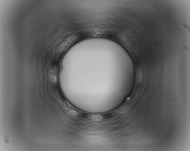 X0000102250719200808081411