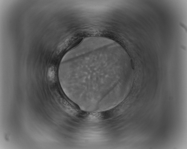 X0000102250720200808081411