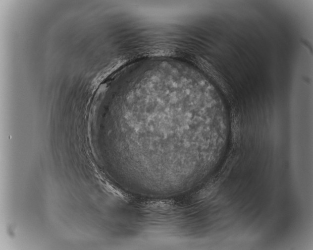 X0000102250721200808081410