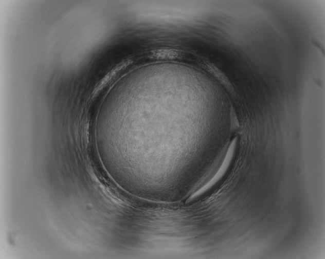 X0000102250722200808081410