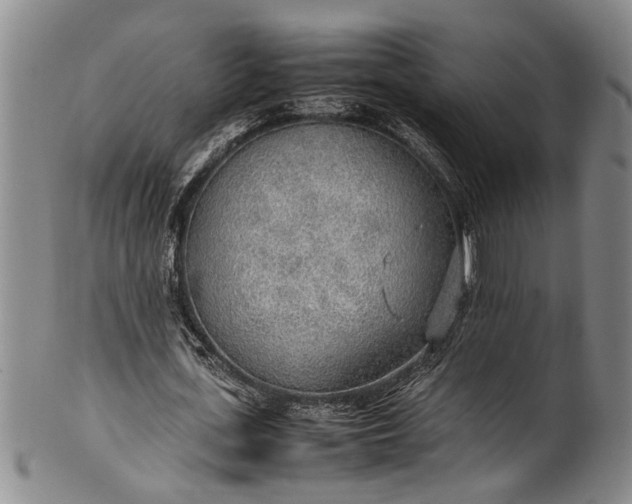 X0000102250723200808081410