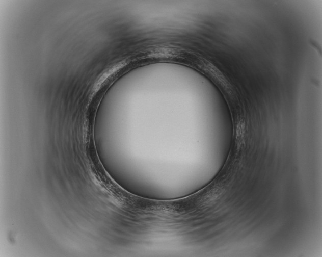 X0000102250724200808081410