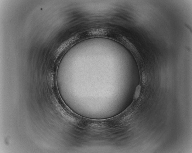 X0000102250725200808081410