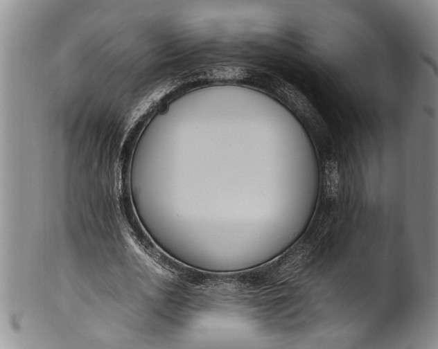 X0000102250726200808081410