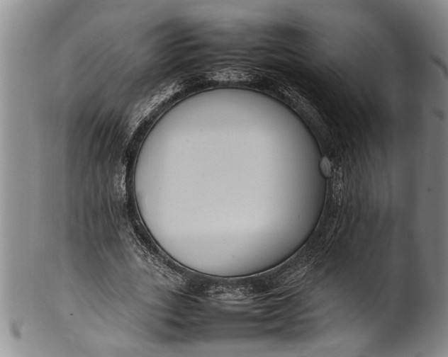 X0000102250727200808081410