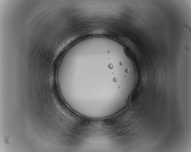 X0000102250728200808081410