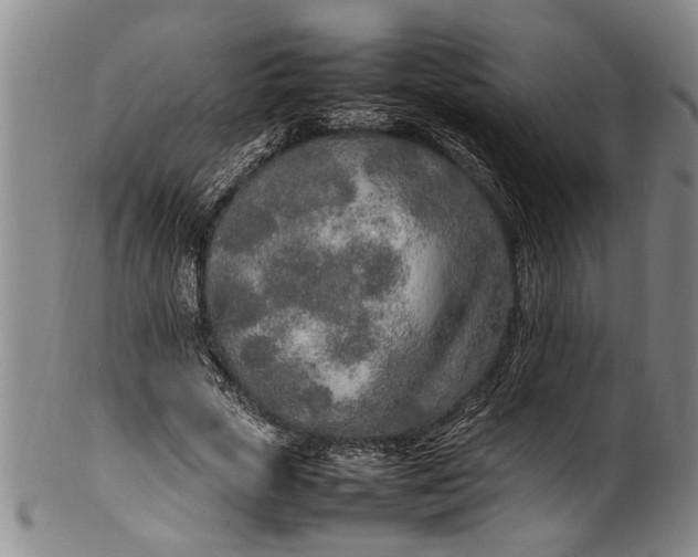 X0000102250729200808081410