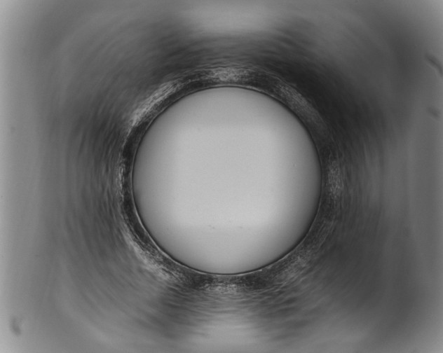 X0000102250730200808081410