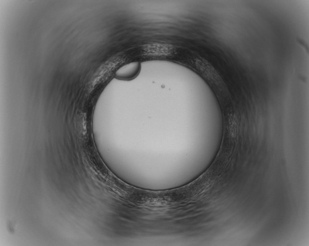 X0000102250731200808081410