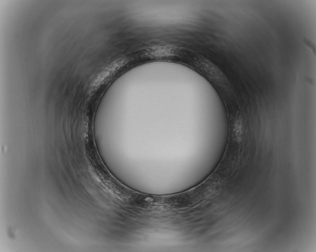 X0000102250732200808081410