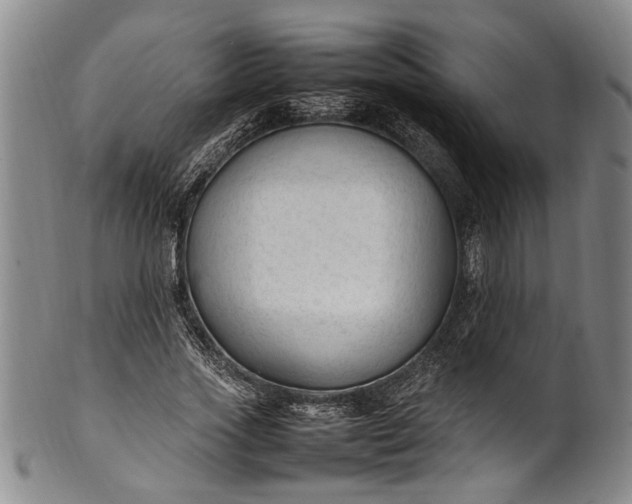 X0000102250733200808081410