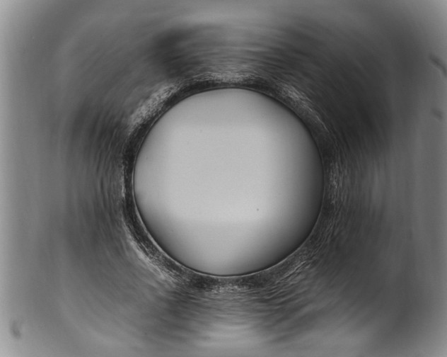 X0000102250734200808081410