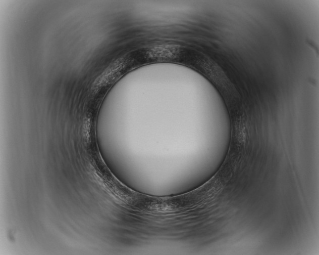 X0000102250735200808081410