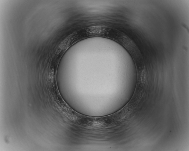 X0000102250737200808081410