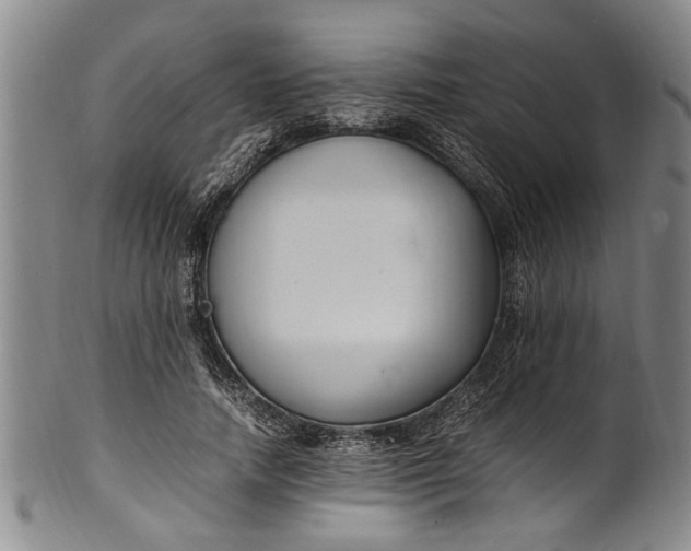 X0000102250738200808081410