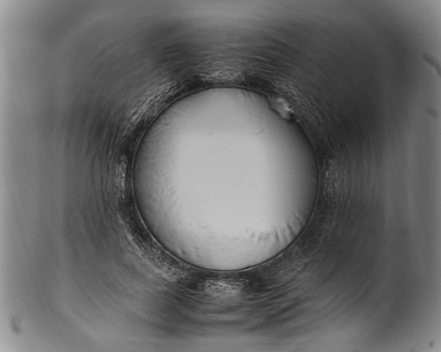 X0000102250739200808081410