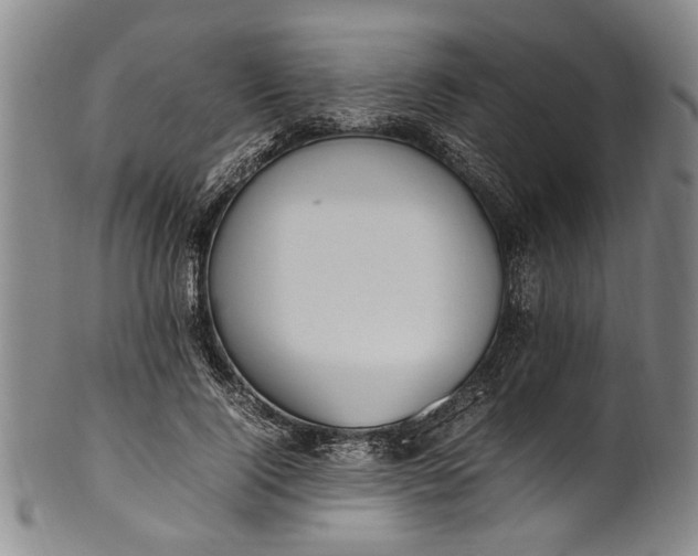 X0000102250740200808081410