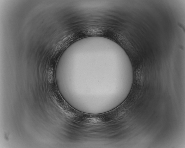 X0000102250741200808081410