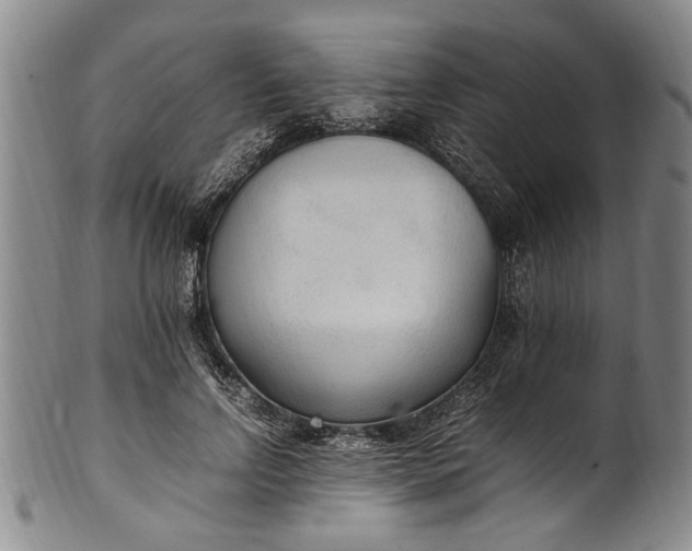 X0000102250742200808081410