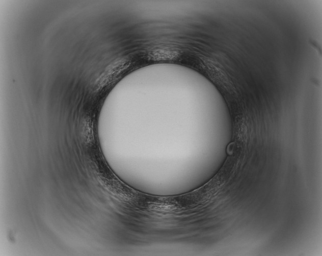 X0000102250743200808081410