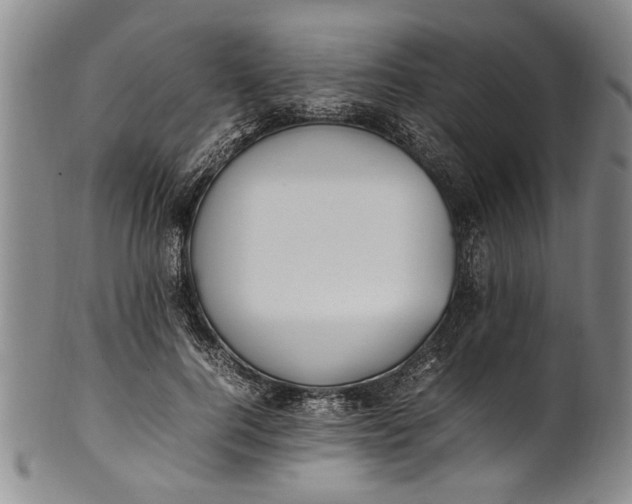 X0000102250744200808081410