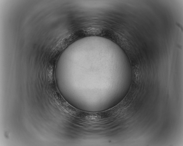 X0000102250745200808081410