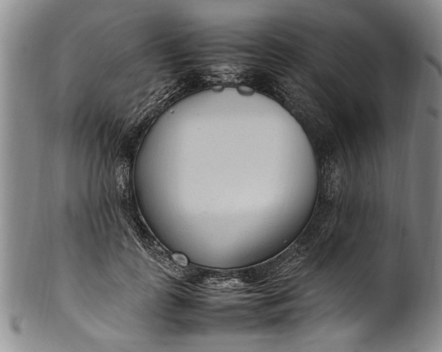 X0000102250747200808081410