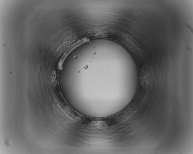 X0000102250748200808081410