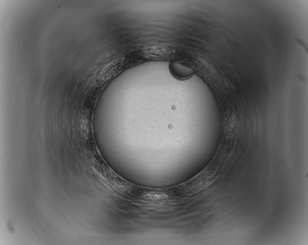 X0000102250749200808081410