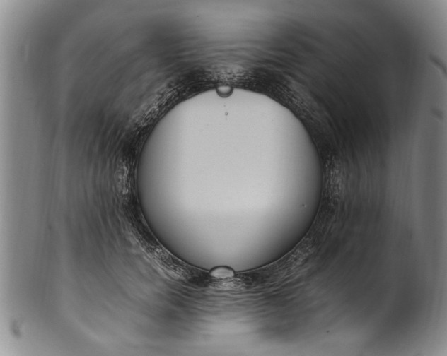 X0000102250750200808081410