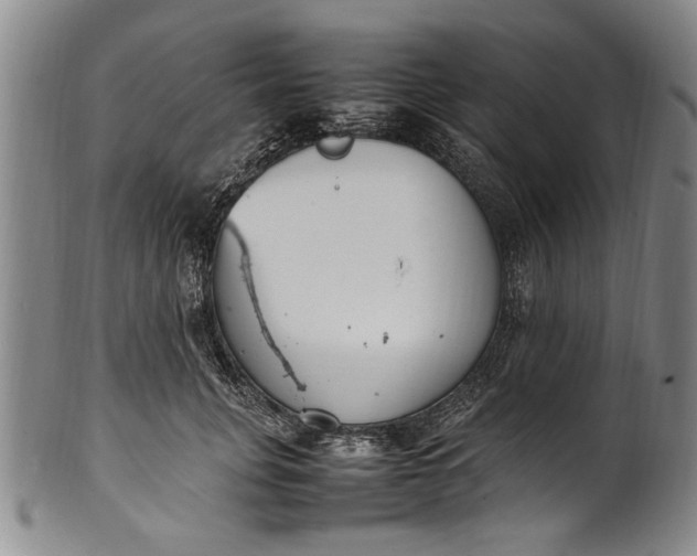 X0000102250751200808081410