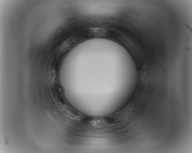 X0000102250752200808081410