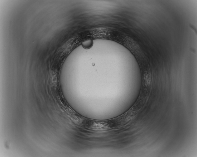 X0000102250753200808081410