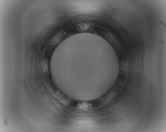 X0000102250754200808081410