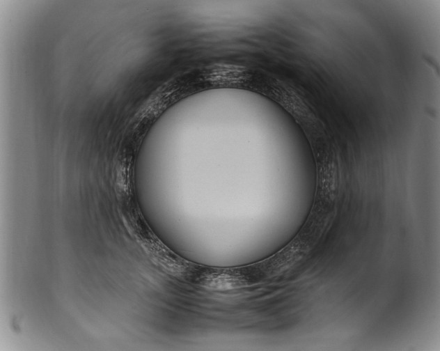 X0000102250755200808081410