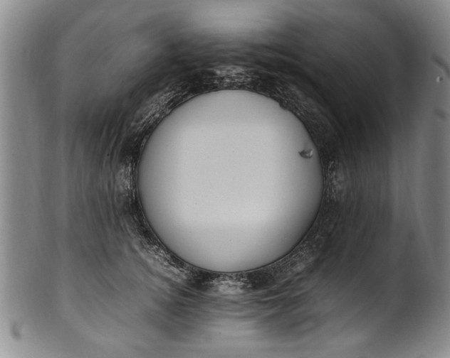 X0000102250756200808081410