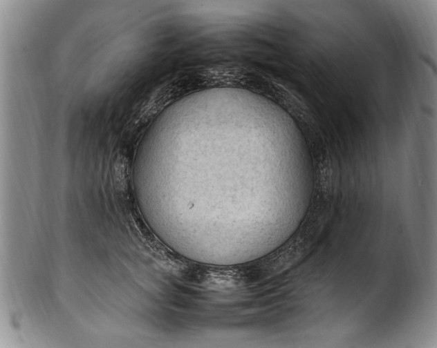 X0000102250757200808081410