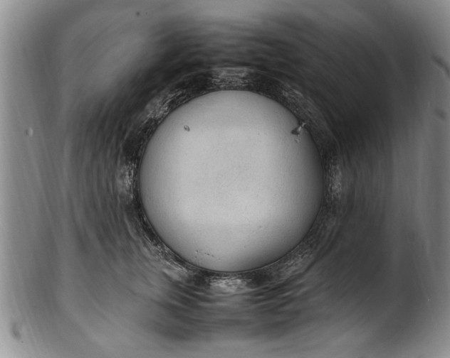 X0000102250759200808081410