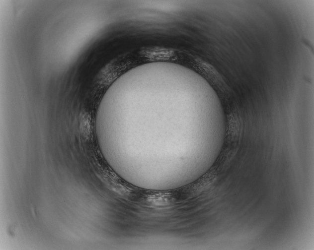 X0000102250761200808081410