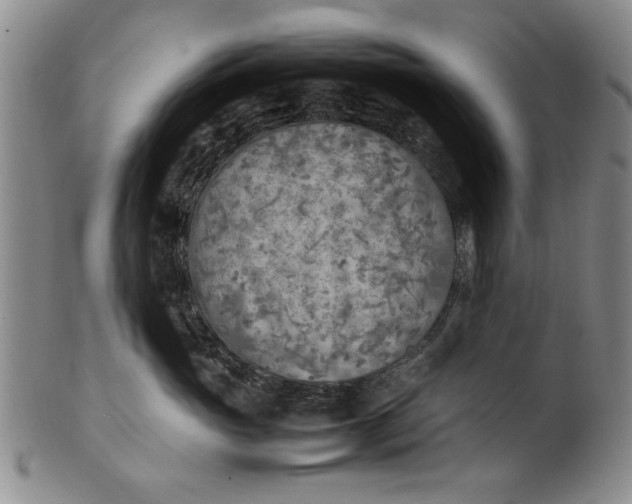 X0000102250765200808081410